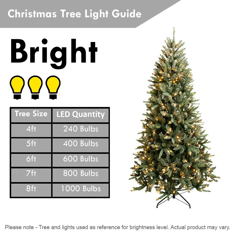 2 Foot Prelit Artificial Christmas Tree Fiber Optic LED Light Table Decor with Multi-Color Lights