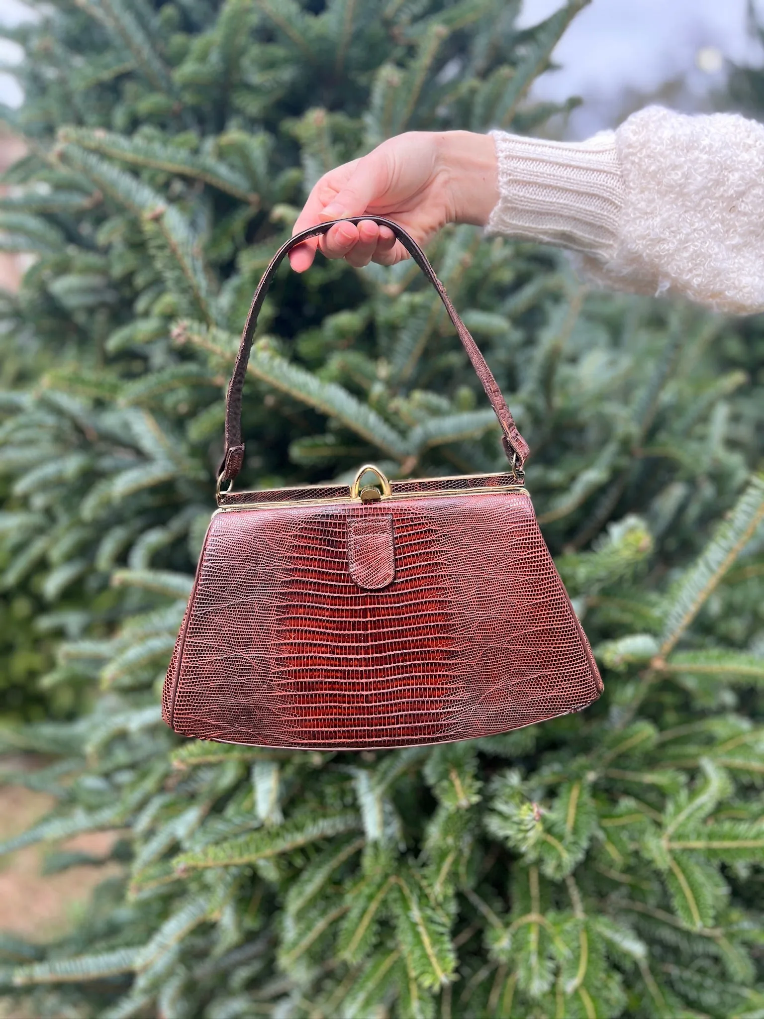 Vintage Exotic Skin Purse